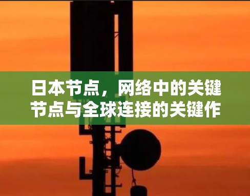 日本节点，网络中的关键节点与全球连接的关键作用