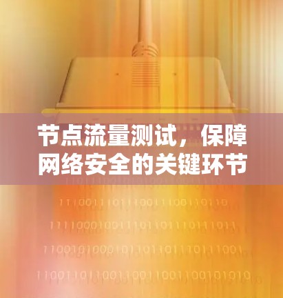 节点流量测试，保障网络安全的关键环节