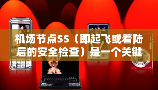 机场节点SS（即起飞或着陆后的安全检查）是一个关键的航空安全流程，主要涉及机场管理部门在特定条件下对飞机进行安全评估和检查。以下是关于SS的具体信息和影响