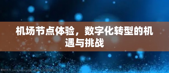 机场节点体验,数字化转型的机遇与挑战 机场节点体验,数字化转型的机遇与挑战