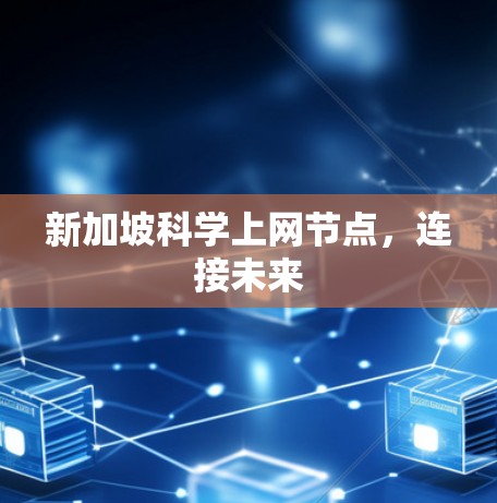 新加坡科学上网节点，连接未来
