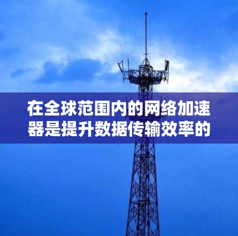 在全球范围内的网络加速器是提升数据传输效率的重要工具，以下是对不同网络加速器的综合分析，帮助您做出明智的选择