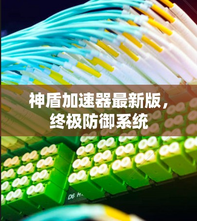 神盾加速器最新版，终极防御系统