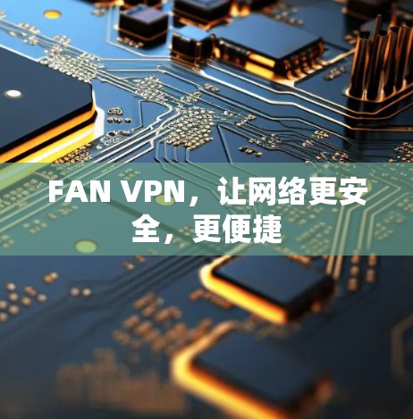 FAN VPN，让网络更安全，更便捷