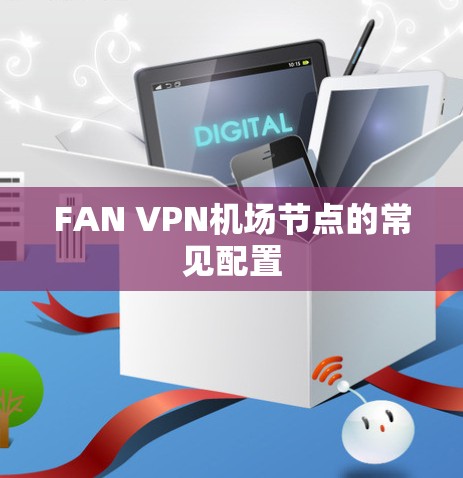 FAN VPN机场节点的常见配置
