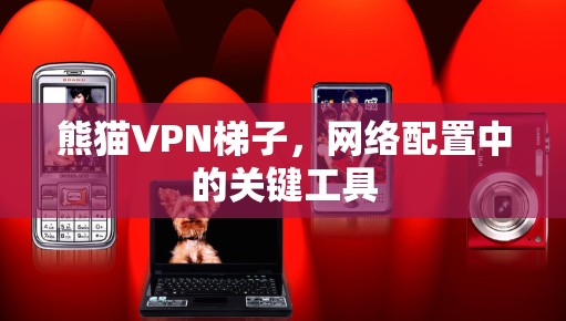 熊猫VPN梯子，网络配置中的关键工具
