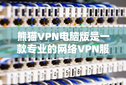 熊猫VPN电脑版是一款专业的网络VPN服务，提供多种功能和选项，方便用户进行网络访问。以下是关于熊猫VPN电脑版的详细信息