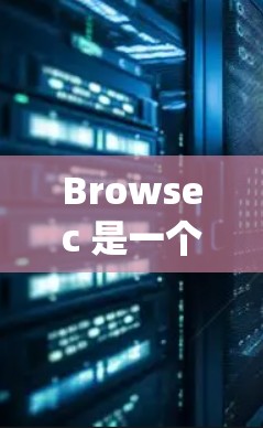 Browsec 是一个用于保护计算机系统和文件的安全软件，旨在检测和阻止恶意软件的传播。如果你想下载并安装 Browsec，以下是一些步骤和信息
