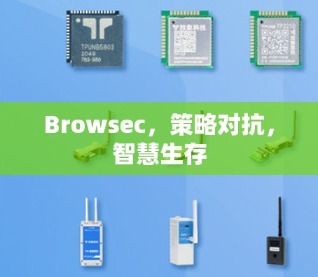 Browsec,策略对抗,智慧生存 Browsec,策略对抗,智慧生存