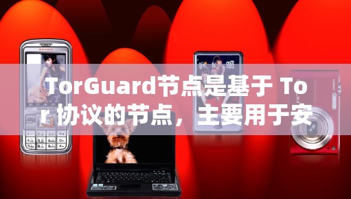TorGuard节点是基于 Tor 协议的节点，主要用于安全访问Web资源和存储数据。以下是关于 TorGuard节点的详细总结