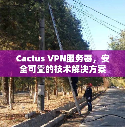 Cactus VPN服务器，安全可靠的技术解决方案