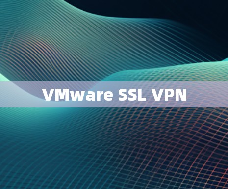 VMware SSL VPN