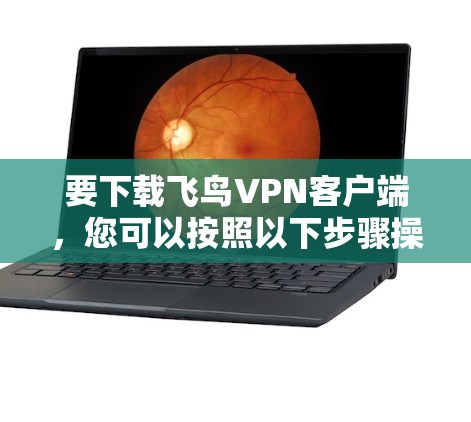 要下载飞鸟VPN客户端，您可以按照以下步骤操作