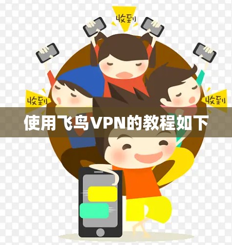 使用飞鸟VPN的教程如下