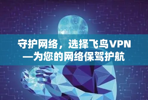守护网络，选择飞鸟VPN—为您的网络保驾护航