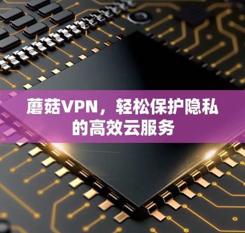 蘑菇VPN，轻松保护隐私的高效云服务