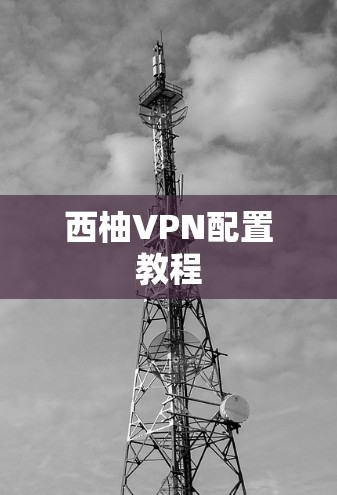 西柚VPN配置教程