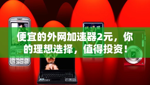 便宜的外网加速器2元，你的理想选择，值得投资！