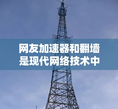 网友加速器和翻墙是现代网络技术中的重要组成部分，它们各自扮演着不同的角色，共同为用户提供了高效且安全的网络服务。以下是对这两个概念的详细分析