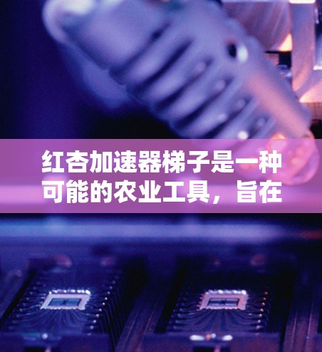 红杏加速器梯子是一种可能的农业工具，旨在加速红杏树的生长以提高粮食产量。以下是对该工具的详细分析