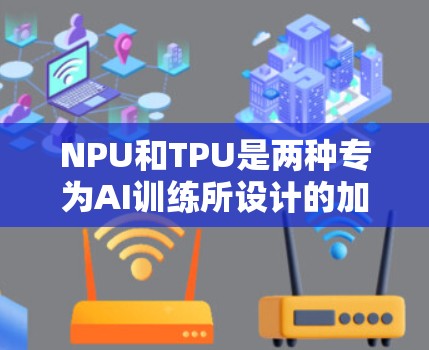 NPU和TPU是两种专为AI训练所设计的加速硬件，各自擅长不同的计算任务，但可以协同工作以提高整体效率。以下是详细的信息
