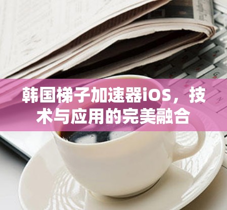 韩国梯子加速器iOS，技术与应用的完美融合