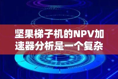 坚果梯子机的NPV加速器分析是一个复杂的过程，涉及多个步骤和因素。以下是一个结构化的分析