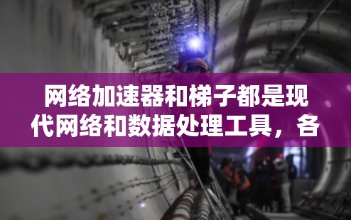 网络加速器和梯子都是现代网络和数据处理工具，各自有不同的功能和适用场景。以下是对它们的详细介绍和对比