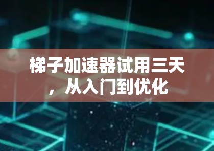梯子加速器试用三天，从入门到优化