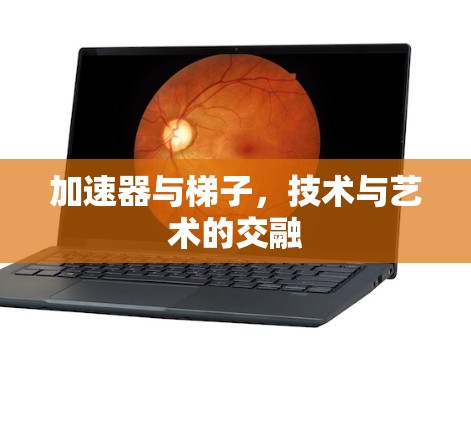 加速器与梯子,技术与艺术的交融 加速器与梯子,技术与艺术的交融