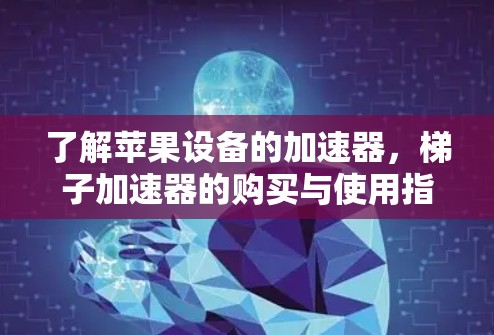 了解苹果设备的加速器，梯子加速器的购买与使用指南