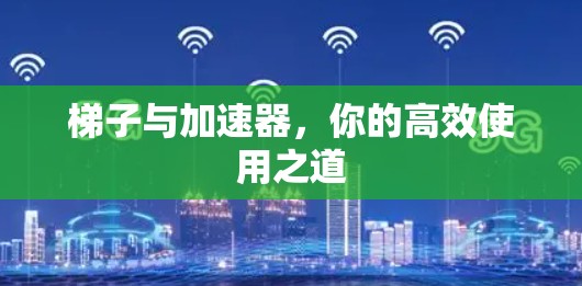 梯子与加速器,你的高效使用之道 梯子与加速器,你的高效使用之道