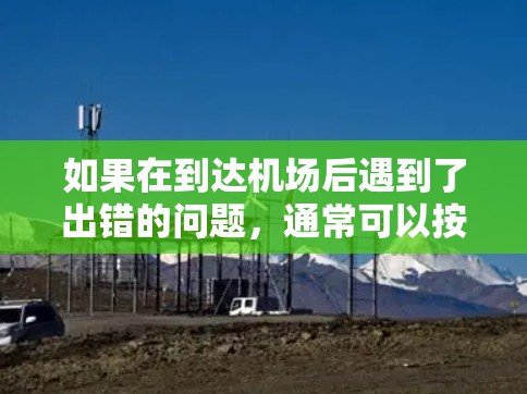 如果在到达机场后遇到了出错的问题，通常可以按照以下步骤进行处理