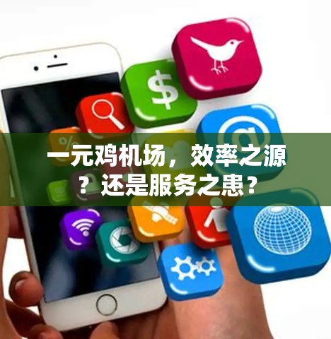 一元鸡机场，效率之源？还是服务之患？
