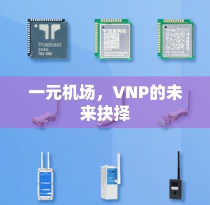 一元机场,VNP的未来抉择 一元机场,VNP的未来抉择