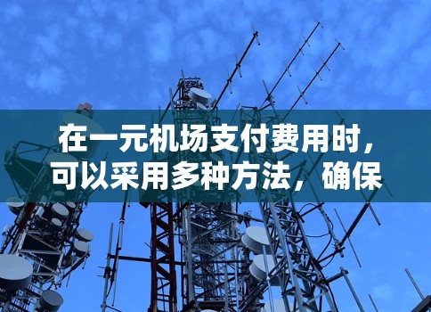 在一元机场支付费用时，可以采用多种方法，确保在不同场景下都能顺利支付。以下是一个全面的支付方案