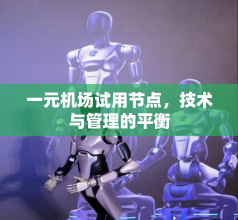 一元机场试用节点，技术与管理的平衡