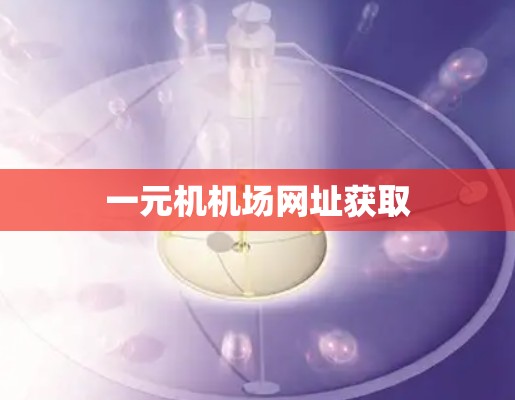 一元机机场网址获取