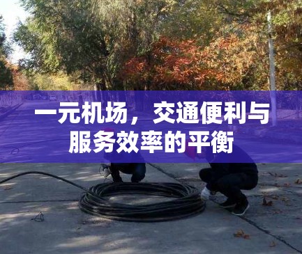 一元机场，交通便利与服务效率的平衡