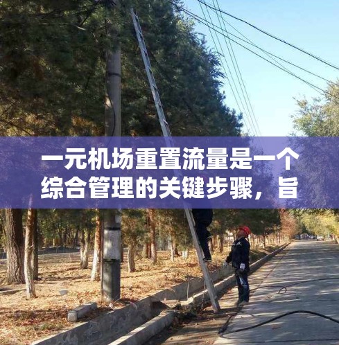 一元机场重置流量是一个综合管理的关键步骤，旨在通过调整现有资源和流程，以应对客流量下降的情况。以下是详细的步骤说明