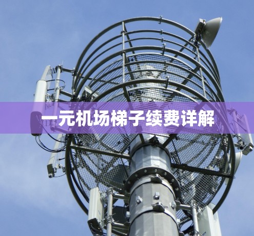一元机场梯子续费详解