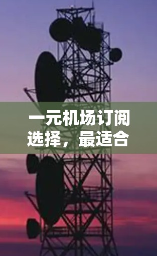 一元机场订阅选择，最适合你的站点