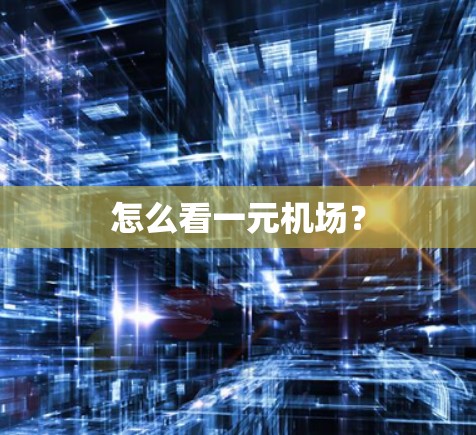 怎么看一元机场? 怎么看一元机场?