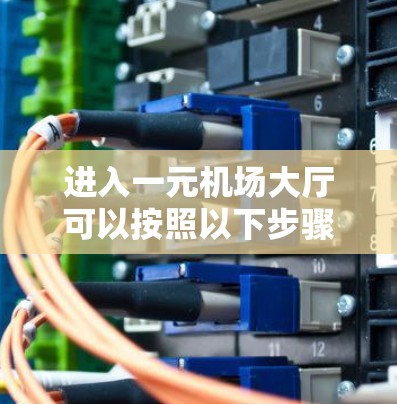 进入一元机场大厅可以按照以下步骤进行