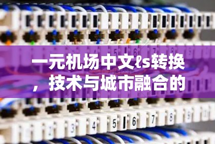 一元机场中文ℓs转换,技术与城市融合的智慧探索 一元机场中文ℓs转换,技术与城市融合的智慧探索