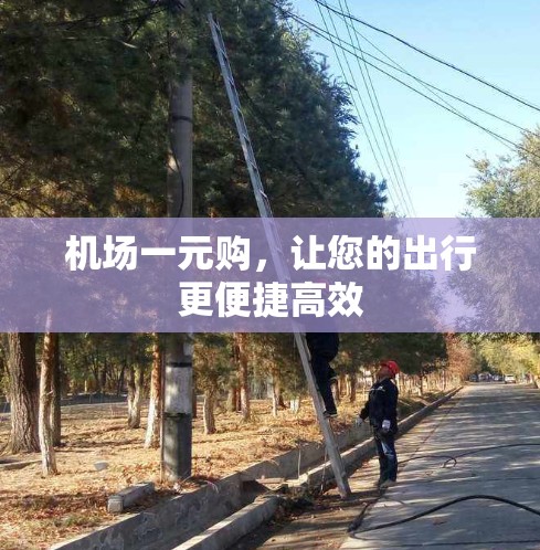 机场一元购,让您的出行更便捷高效 机场一元购,让您的出行更便捷高效