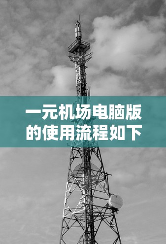 一元机场电脑版的使用流程如下