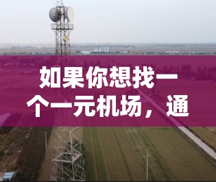 如果你想找一个一元机场，通常是在一个城市中只有一个机场的地方。以下是一些建议，帮助你找到合适的机场