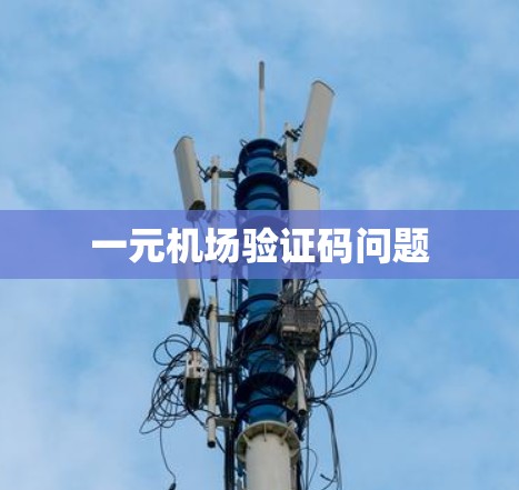 一元机场验证码问题
