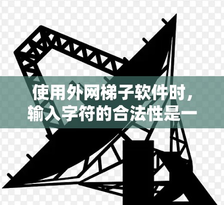 使用外网梯子软件时，输入字符的合法性是一个关键问题。以下是针对您遇到的问题的详细解答